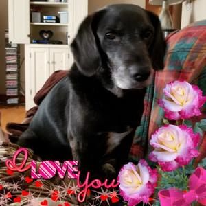 Meet your Posher, Jody